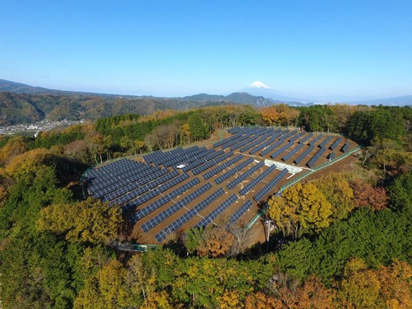 Les actualités et tendances du marché des panneaux photovoltaïques